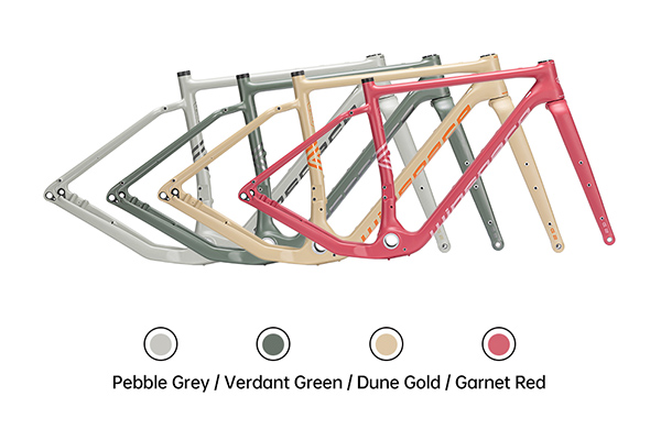 Winspace G2 Gravel frameset anniversary